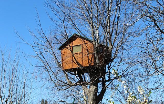Jak zbudować domek z palet na drzewie?